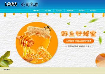 商务型成品案例站No:8784