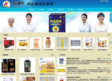 商务型成品案例站No:8784