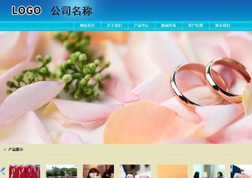 商务型成品案例站No:8784