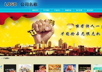 商务型成品案例站No:8784