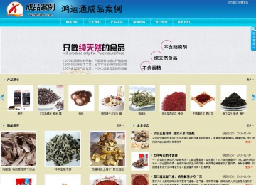 商务型成品案例站No:8784