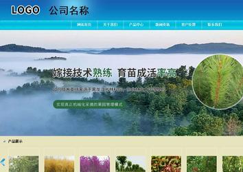 商务型成品案例站No:8784