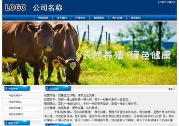 经济型成品案例站No:8785