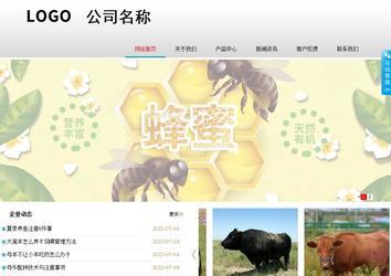 商务型成品案例No:8786