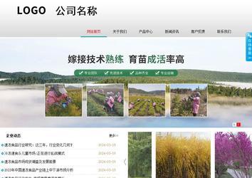 商务型成品案例No:8786