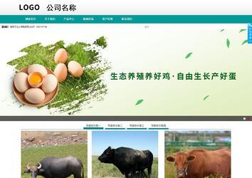 商务型成品案例No:8787