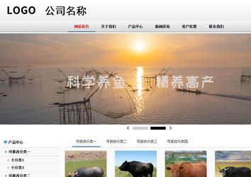 商务型成品案例No:8791