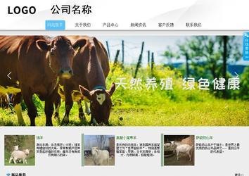 商务型成品案例站No:8808