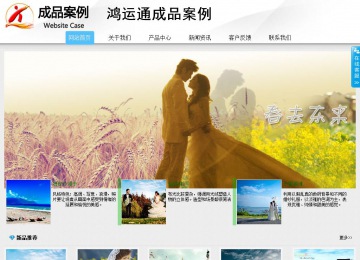 商务型成品案例站No:8808