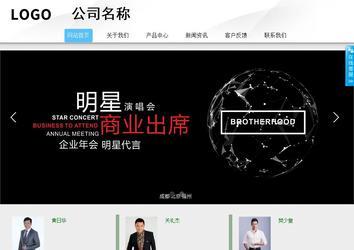 商务型成品案例站No:8808