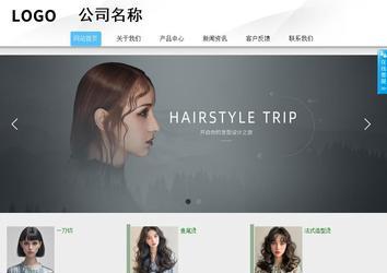 商务型成品案例站No:8808