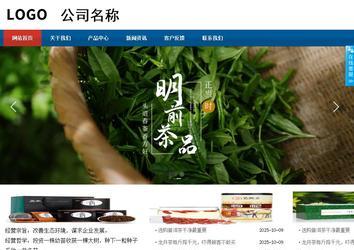 商务型成品案例站No:8813