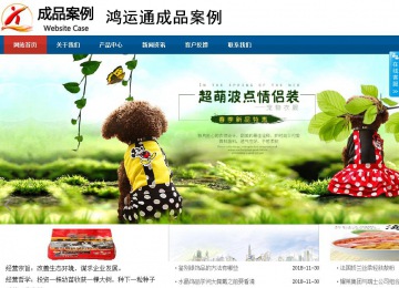 商务型成品案例站No:8813