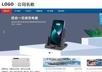 商务型成品案例站No:8813