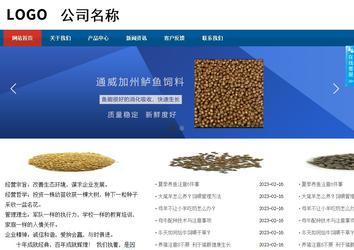 商务型成品案例站No:8813