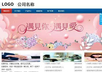 商务型成品案例站No:8813