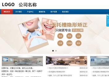 商务型成品案例站No:8813