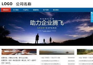 商务型成品案例站No:8813