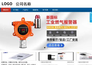 商务型成品案例站No:8813