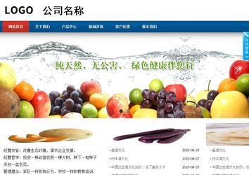 商务型成品案例站No:8813