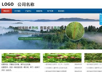 商务型成品案例站No:8813