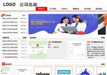 商务型成品案例站No:8816