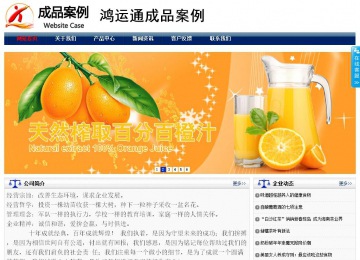 商务型成品案例站No:8823