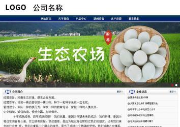 商务型成品案例站No:8823