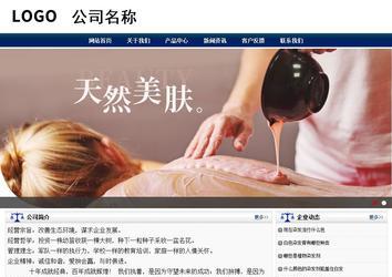 商务型成品案例站No:8823