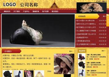 商务型成品案例站No:8824