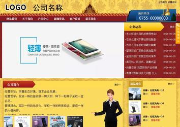 商务型成品案例站No:8824