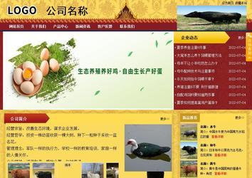 商务型成品案例站No:8824