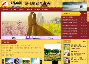 商务型成品案例站No:8824