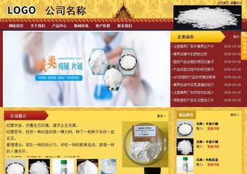 商务型成品案例站No:8824