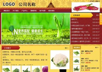 商务型成品案例站No:8824