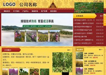 商务型成品案例站No:8824