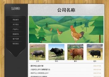 经济型成品案例站No:8825