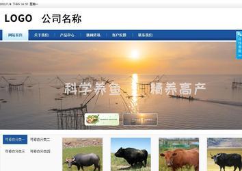 商务型成品案例站No:8827