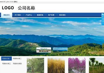 商务型成品案例站No:8827