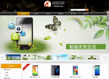 商务型成品案例站No:8829