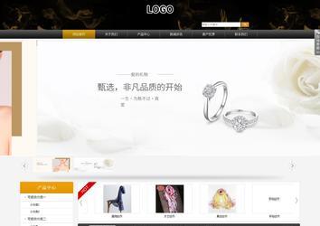 商务型成品案例站No:8829