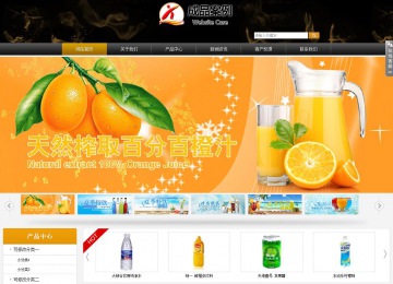 商务型成品案例站No:8829