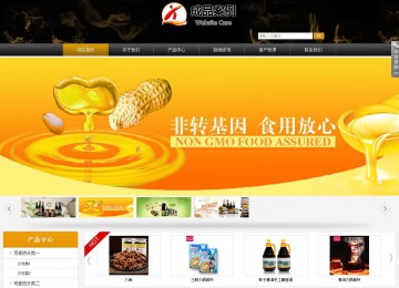 商务型成品案例站No:8829