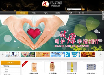 商务型成品案例站No:8829