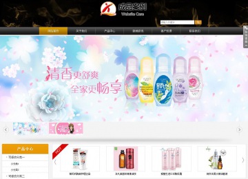 商务型成品案例站No:8829