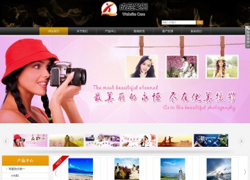 商务型成品案例站No:8829