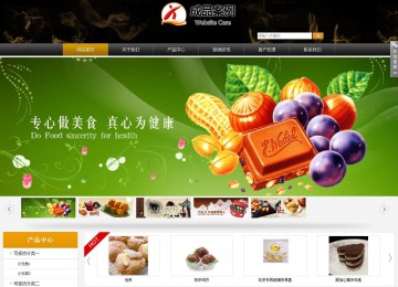 商务型成品案例站No:8829