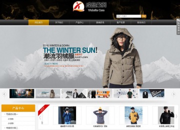 商务型成品案例站No:8829