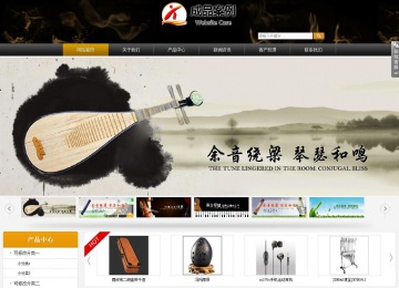 商务型成品案例站No:8829