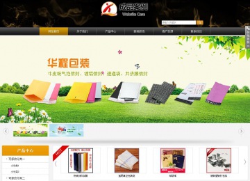 商务型成品案例站No:8829